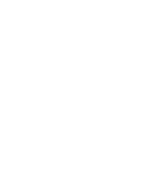 Logotipo Fernanda Zanini